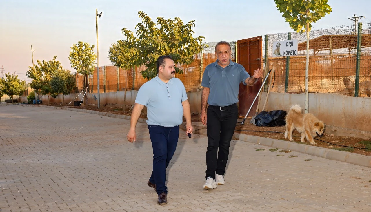 Viranşehir&rsquo;de Can Dostlara Yakın İlgi: Başkan İnan Barınağı Ziyaret Etti