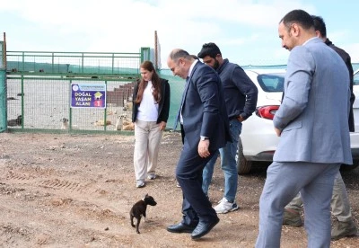 Başkan &Ccedil;ift&ccedil;i, Doğal Yaşam Alanındaki &Ccedil;alışmaları İnceledi