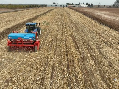 Buğday anızına mısırda yüksek verim alındı