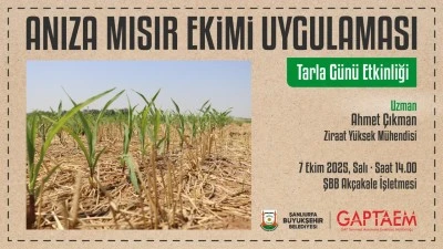 Büyükşehir’den Çiftçilere Anıza Mısır Ekiminde Örnek Proje