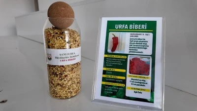 B&uuml;y&uuml;kşehir&rsquo;den &Ccedil;ift&ccedil;ilere Ata Tohumu Desteği