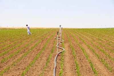 Dicle Elektrik’ten Kuraklık ve Bilinçsiz Sulama Uyarısı: “Enerji Altyapısı Tehlikede”