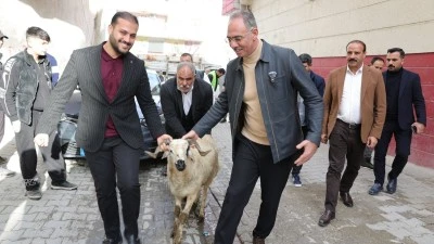 Eyy&uuml;biye Belediyesi&rsquo;nden 400 Aileye Ko&ccedil; Desteği