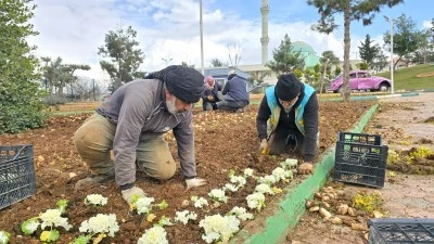 Eyy&uuml;biye Belediyesi Parkları Bahara Hazırlıyor