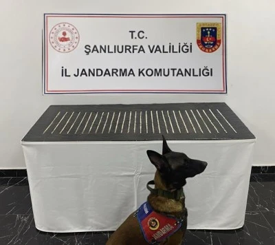 Eyyübiye ‘de Uyuşturucu Operasyonu: 4 Şüpheli Yakalandı