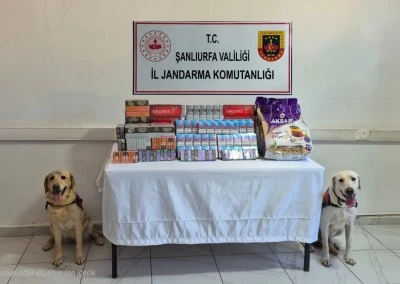 Gümrük kaçağı 7 bin 480 sigara ele geçirildi