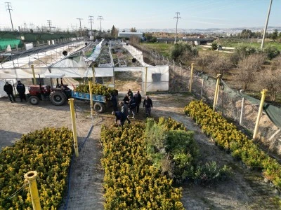 &nbsp;B&uuml;y&uuml;kşehir Belediyesi&rsquo;nden &ldquo;Yeşil Bir Urfa&rdquo; Atağı