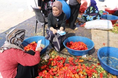   İl Sağlık Müdürlüğü, Biber İşçilerine Sağlık Hizmetini Ayağına Götürdü