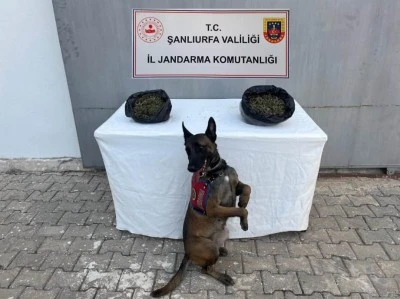 Jandarmadan Operasyon:  Uyuşturucu ve silah ele geçirildi