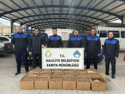 Haliliye&rsquo;de Denetimlerde 180 Kilo K&uuml;flenmiş Ceviz Ele Ge&ccedil;irildi