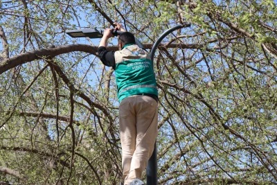 Haliliye&rsquo;de Parklar Yaz Mevsimine Hazırlanıyor