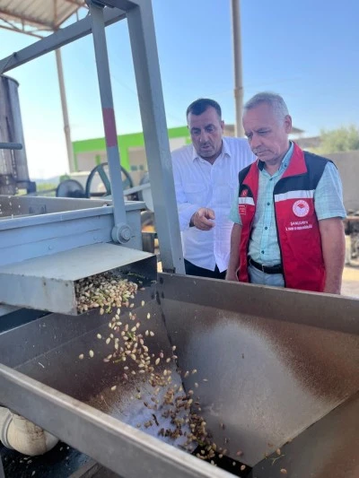 İl Müdürü Söğüt, Bozova’da Hibe Desteğiyle Kurulan Fıstık ve Zeytin Tesisini İnceledi