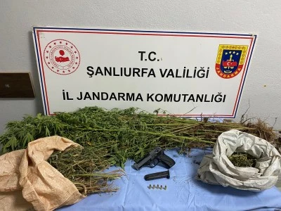 Jandarmadan Uyuşturucu Operasyonu: 8 Gözaltı