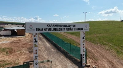 Karak&ouml;pr&uuml;&rsquo;de Sokak Hayvanlarına Modern ve S&uuml;rd&uuml;r&uuml;lebilir Yaşam Alanı