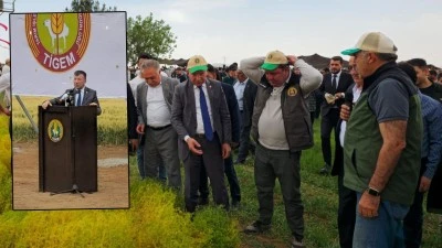 Milletvekili Cevheri: “TİGEM, Tarımda Türkiye'nin Güvencesidir”