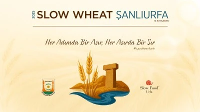 &quot;Slow Wheat Şanlıurfa 2025&quot; başlıyor