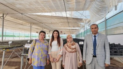 Şanlıurfa Büyükşehir Belediyesi, Kurakçıl Peyzaj Projesiyle Sürdürülebilir Yeşil Alanlar Yaratıyor