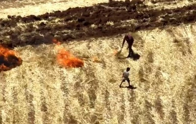 Şanlıurfa'da 29 ka&ccedil;ak trafo tespit edildi, dron kameralarına anız yakanlar da yansıdı