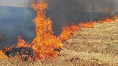 Şanlıurfa'da anız yakan 303 kişiye 21,2 milyon lira ceza