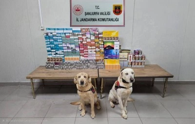 Şanlıurfa&rsquo;da Ka&ccedil;ak T&uuml;t&uuml;n ve Elektronik Sigara Operasyonu: 27 Ş&uuml;pheliye İşlem