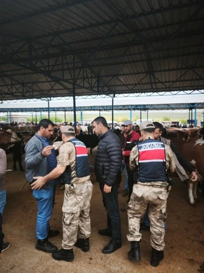 Şanlıurfa&rsquo;da Kurbanlık Satış Alanlarında Denetimler Sıklaştı