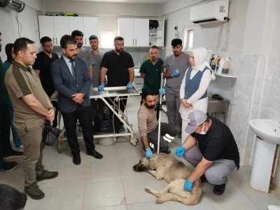 Şanlıurfa'da Sahipsiz Hayvanlar İçin Personele Eğitim Verildi