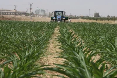 Şanlıurfa’da Sürdürülebilir Tarımda Yeni Adım