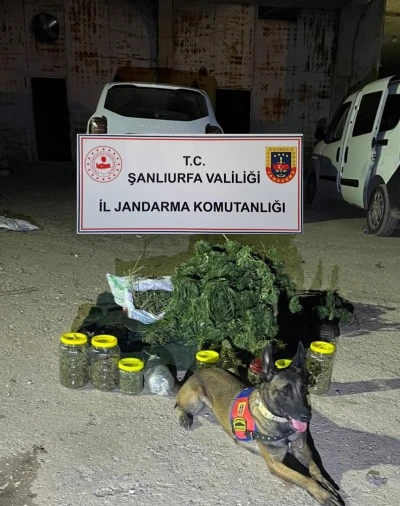 Şanlıurfa’da Uyuşturucu Operasyonu: 13,6 Kilo Skunk Ele Geçirildi