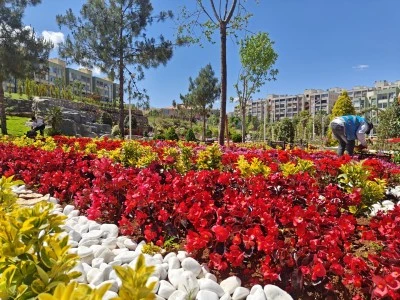 Sera Kent’te Onbinlerce Bitki Toprakla Buluşuyor