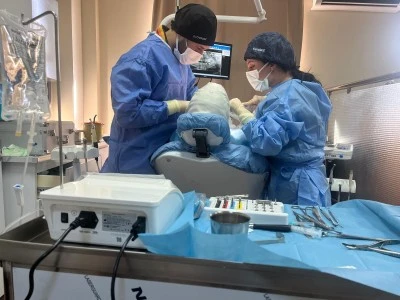 Siverek Ağız ve Diş Sağlığı Merkezi’nde İmplant Tedavisi Başladı