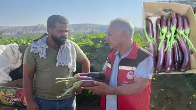 Söğüt: Birecik Patlıcanı Marka Değerimizdir