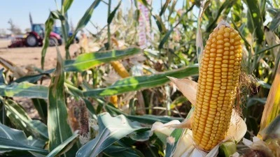 “Tarla Günü” etkinliği yapıldı