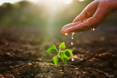 TEMA Vakfı: Toprak Kaybı Su, Gıda ve Geleceğin Kaybıdır