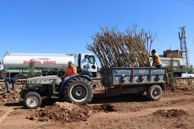 Yukarıg&ouml;kl&uuml; Kent Parkı&rsquo;nda Ağa&ccedil;landırma &Ccedil;alışması